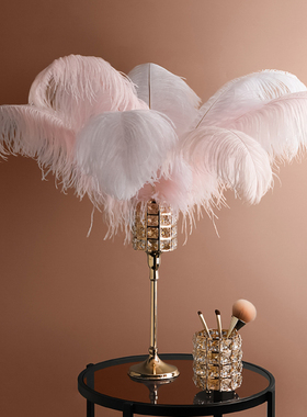 速发L晶VET水I装饰妆客厅房间轻奢抽纸盒化品台收纳摆件