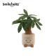 ຊຸດພືດ SmileBella ຂອງຫຼິ້ນ plush