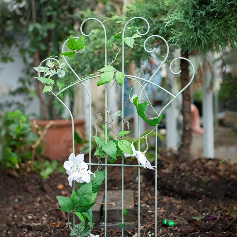 花架爬藤架阳台拱形铁线莲花架子月季户外花盆植T物攀爬支架支撑,淘宝优惠券,粉丝福利购,淘宝优惠卷