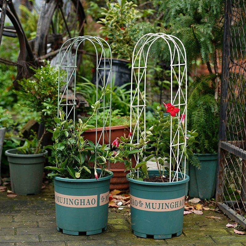 花架爬藤架阳台拱形铁线莲花架子月季户外花盆植T物攀爬支架支撑,淘宝优惠券,粉丝福利购,淘宝优惠卷