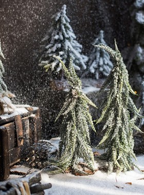 速发 小型诞松圣树雪桌面摆件橱窗道具咖啡馆节日气氛装饰