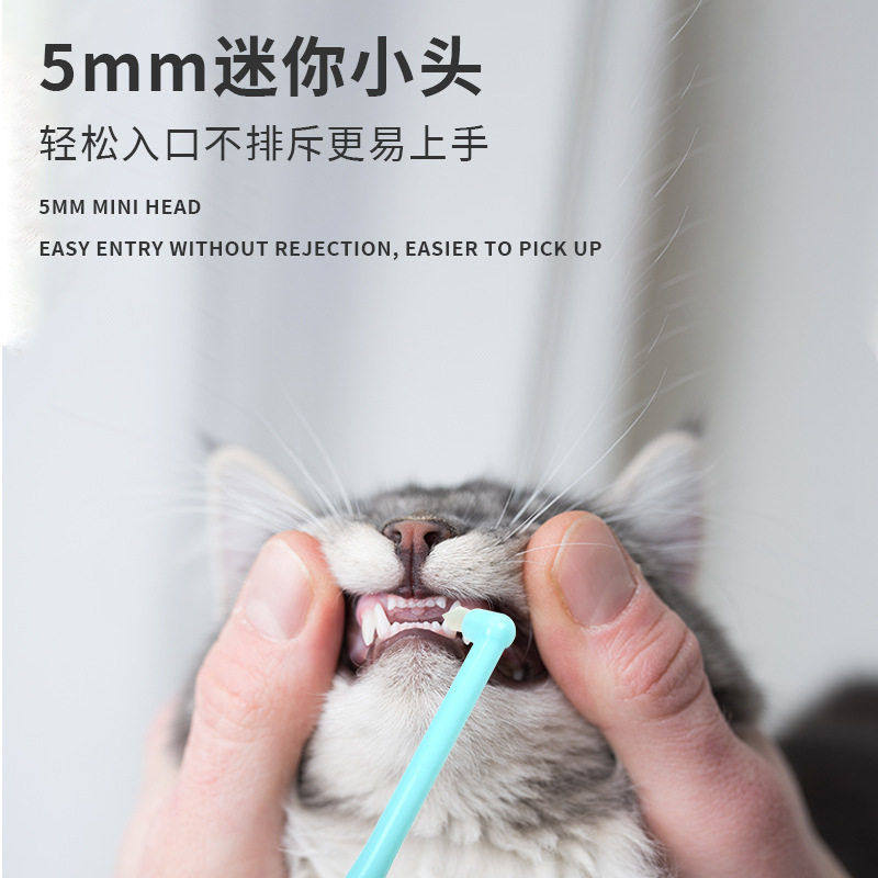宠物猫狗牙刷 口腔清洁牙刷 马卡龙 迷你尖头牙刷 厂家,淘宝优惠券,粉丝福利购,淘宝优惠卷