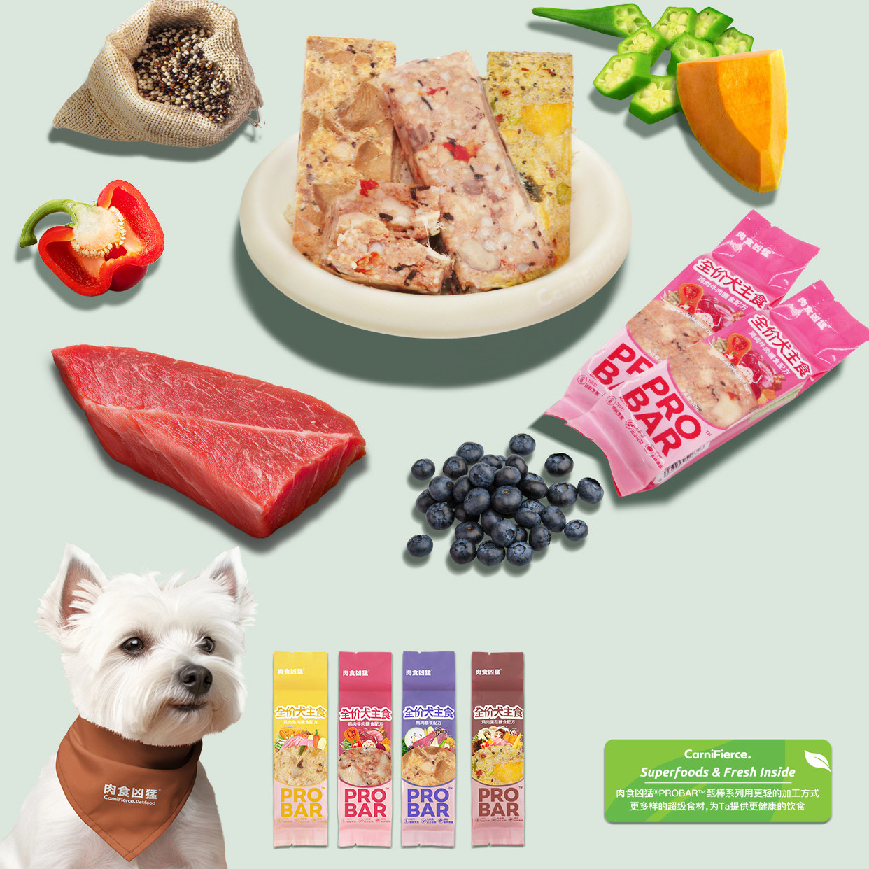 【U先试用】肉食凶猛-汪崽尝鲜 狗主食冻干湿粮零食汤罐软粮营养,淘宝优惠券,粉丝福利购,淘宝优惠卷