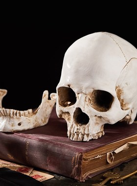 速发下巴可拆颅怪脂骷髅头模型人头骨卸骨摆件圣节搞树创意装饰