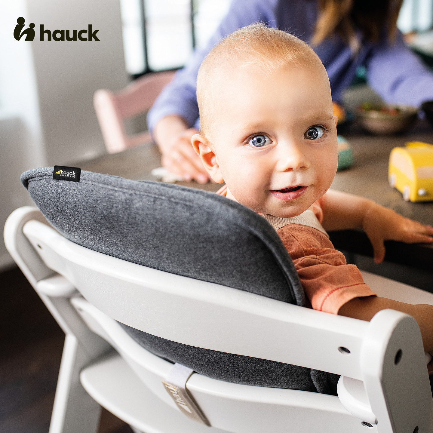 Hauck宝宝餐椅儿童成长椅专用配件宝宝学坐椅靠垫座兜餐椅坐垫,淘宝优惠券,粉丝福利购,淘宝优惠卷