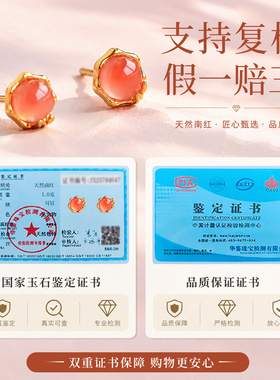 天然南红小众独特耳钉纯银竹叶秋冬国风红色耳饰高级感送妈妈礼物