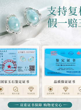 高级感精致贝壳海纹石耳钉纯银新中式夏日蓝色耳饰女士小众设计感