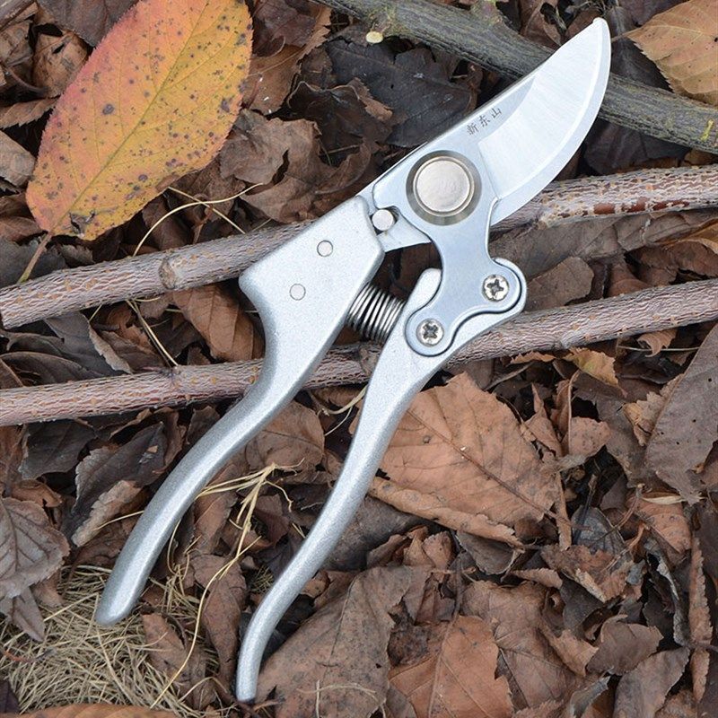 新东山 修剪树枝修枝剪修花木园林工具园艺剪刀果树剪子粗枝剪花,淘宝优惠券,粉丝福利购,淘宝优惠卷