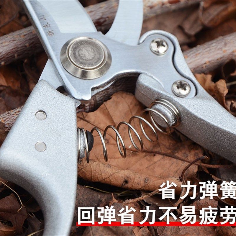 新东山 修剪树枝修枝剪修花木园林工具园艺剪刀果树剪子粗枝剪花,淘宝优惠券,粉丝福利购,淘宝优惠卷