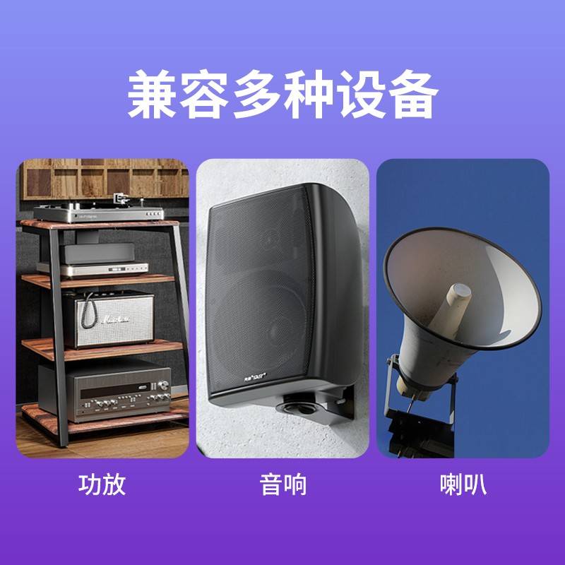 喇叭线音响线音频工程专用音箱线无氧铜音响环绕功放连接线金银线 - 图2