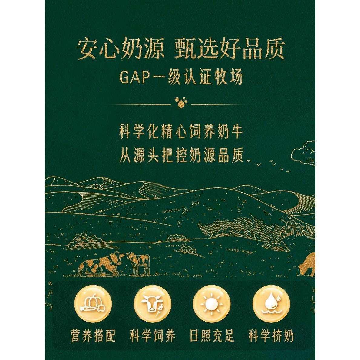 东方甄选4.0g蛋白沙漠纯牛奶2箱装4箱装 200ml*15盒/箱 奶香浓郁