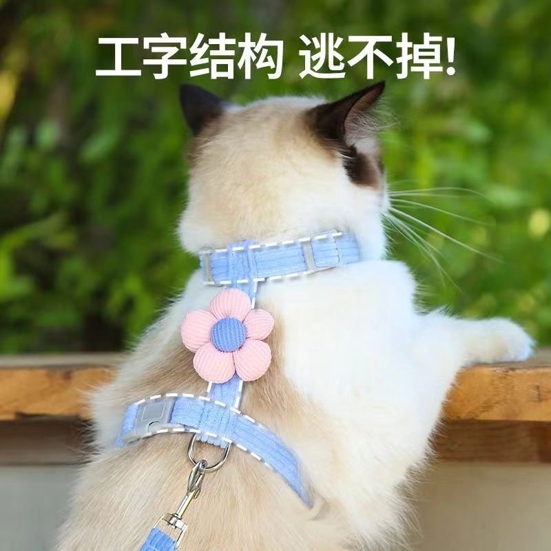猫咪牵引绳防挣脱遛猫牵引绳猫绳子猫牵引外出可调节专用猫绳背带,淘宝优惠券,粉丝福利购,淘宝优惠卷