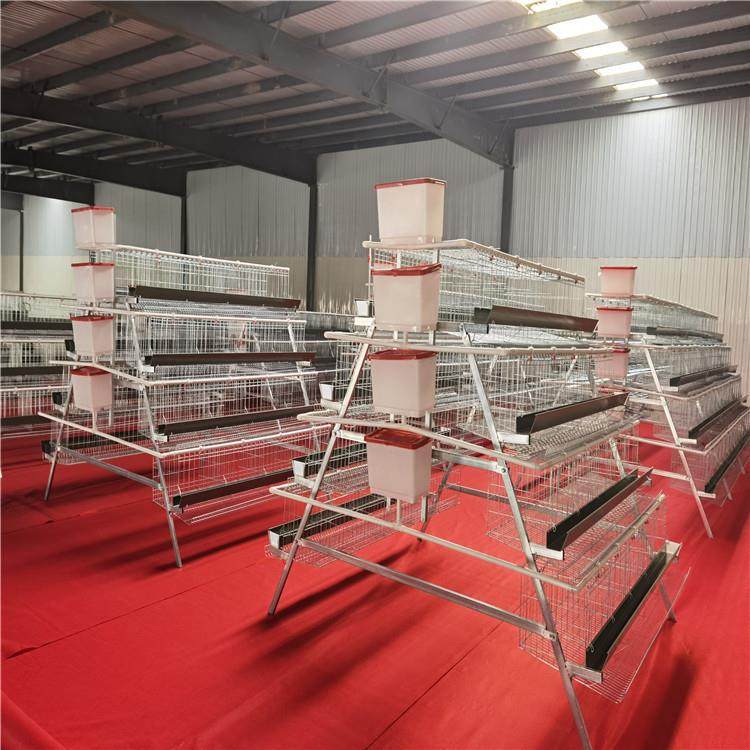 四层五门阶梯蛋鸡笼养殖厂工厂阶梯型鸡笼热镀锌材质可供外贸,淘宝优惠券,粉丝福利购,淘宝优惠卷