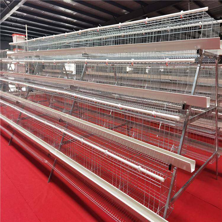 四层五门阶梯蛋鸡笼养殖厂工厂阶梯型鸡笼热镀锌材质可供外贸,淘宝优惠券,粉丝福利购,淘宝优惠卷