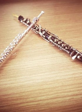 可刻字银a色长笛双簧管模型上低音号莉兹/利兹与青鸟/青