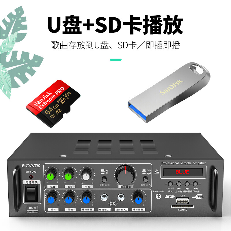 Sony Ericsson home theater KTV audio set 10-inch home commercial conference equipment karaoke amplifier