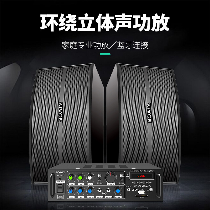 Sony Ericsson home theater KTV audio set 10-inch home commercial conference equipment karaoke amplifier