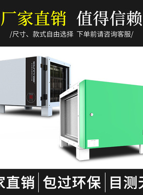 双尼油烟净化器餐饮商用大吸力静电式厨房烧烤净化设备低空直排