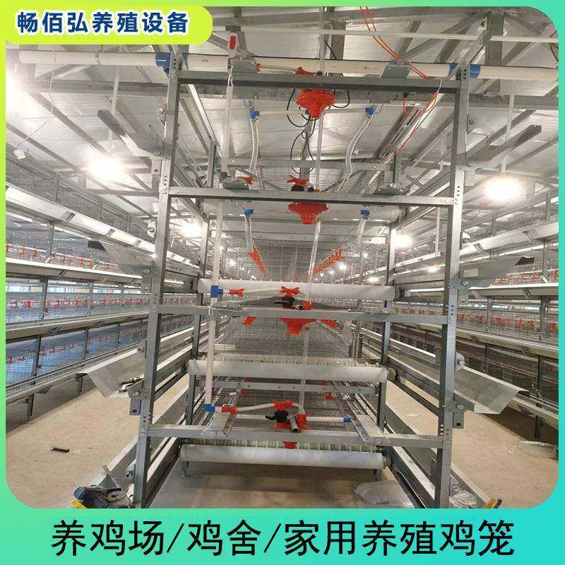 框架肉鸡笼全自动化肉鸡养殖设备热镀锌可外贸,淘宝优惠券,粉丝福利购,淘宝优惠卷
