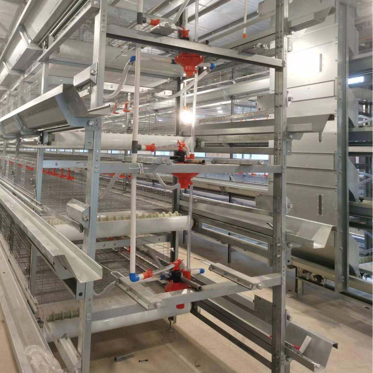 框架肉鸡笼全自动化肉鸡养殖设备热镀锌可外贸,淘宝优惠券,粉丝福利购,淘宝优惠卷