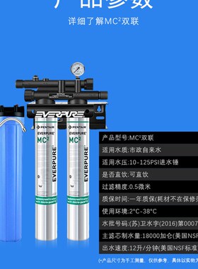 爱惠浦净水器奶茶店直饮水商用大流量过滤K净水机mc2双联超滤机