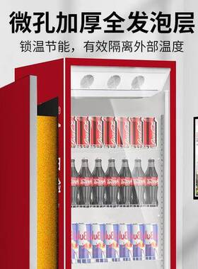 冷饮柜超市便利店冰镇饮料柜风冷饮料柜娃哈哈矿泉水饮料展示柜