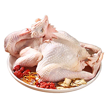 4.8斤黄油老母鸡2400g【2只装】[55元优惠券]-寻折猪