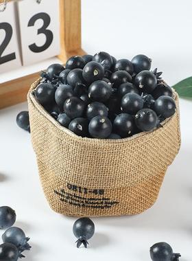 现仿真蓝莓假蓝莓果树仿真假水模型摄摆影道具家居货装泡沫蓝莓饰