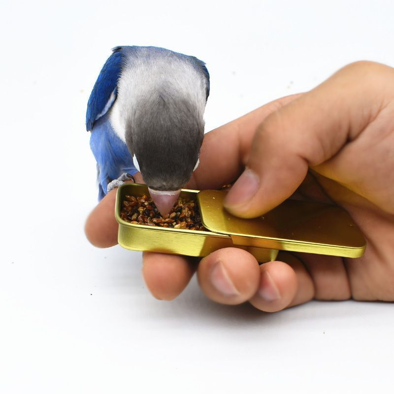 手养训鸟食盒训鸟鹦鹉牡丹玄凤八哥专用鸟食罐训练神器道具喂食器 - 图1