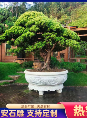 石雕花盆鱼缸青石材质梅兰竹菊凤款式浮雕庭院户外仿古装饰雕刻