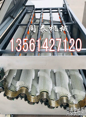 全自动白萝卜清洗机洗萝卜机器洗脐橙机螺旋毛刷式蔬菜水果清洗机