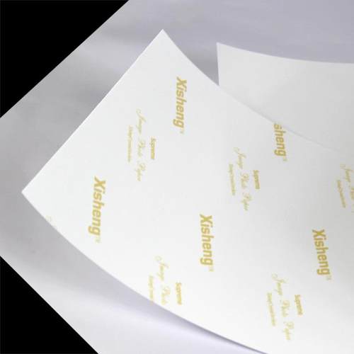 式扩印机RC相纸5寸6A相片纸DX100寸/D700彩扩4RC-GS-01机喷墨打干 - 图2