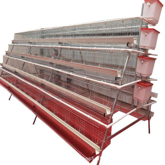 阶梯蛋鸡笼四层养殖厂工厂直供A型蛋鸡笼鸡窝热镀锌可供外贸,淘宝优惠券,粉丝福利购,淘宝优惠卷