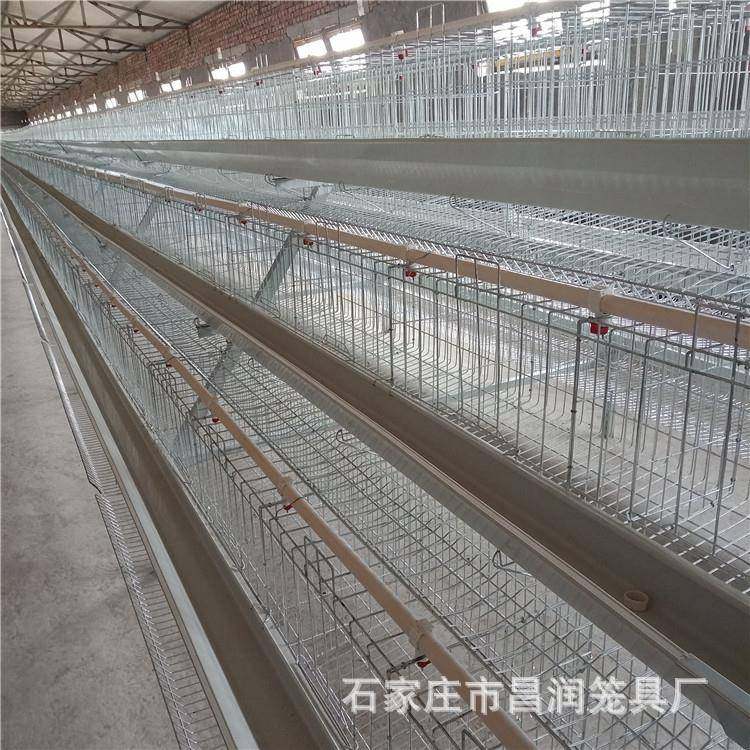 厂家供应3层4层阶梯式层叠式蛋鸡笼青年鸡笼肉鸡育雏鸡笼养殖饲养,淘宝优惠券,粉丝福利购,淘宝优惠卷