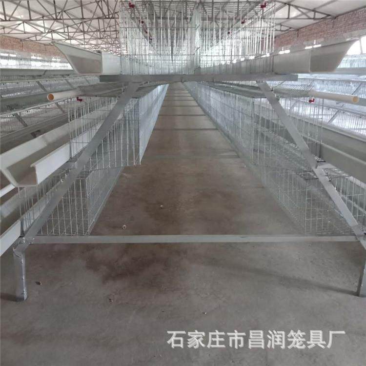 厂家供应3层4层阶梯式层叠式蛋鸡笼青年鸡笼肉鸡育雏鸡笼养殖饲养,淘宝优惠券,粉丝福利购,淘宝优惠卷