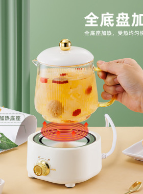煮茶壶2023新款玻璃炖煮养生壶