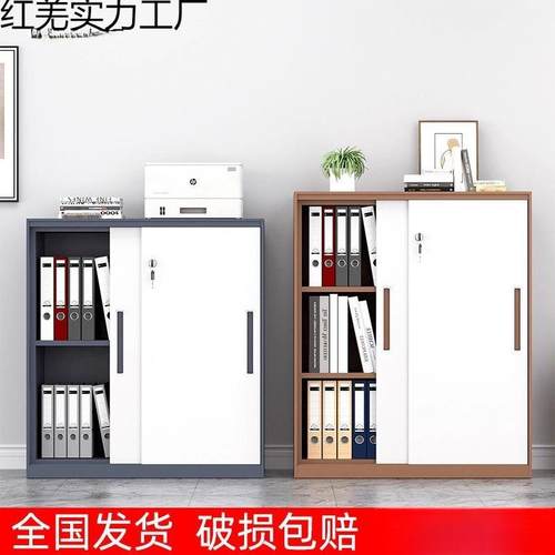 公铁办皮柜带锁档案资料柜LVO文件柜储物柜加厚钢制纳矮收柜推拉 - 图2