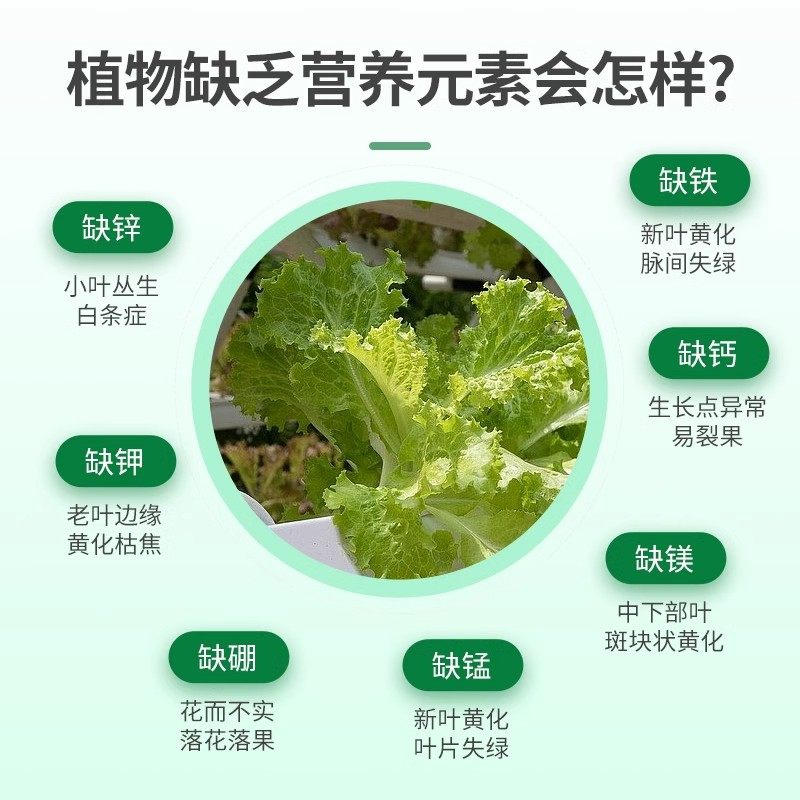 水培蔬菜营养液阳台室内绿叶生菜空心菜无土纯水栽培农作物专用肥,淘宝优惠券,粉丝福利购,淘宝优惠卷