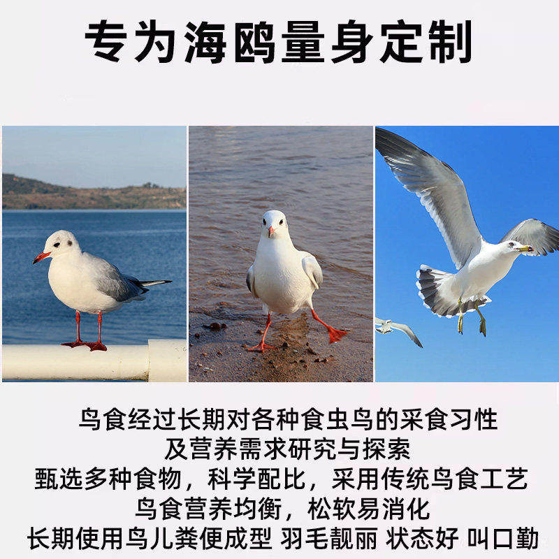 海鸥专用粮喂海鸥的食物面包红嘴鸥鸥饲料粮喂鸟的虫子鸟吃的小米,淘宝优惠券,粉丝福利购,淘宝优惠卷