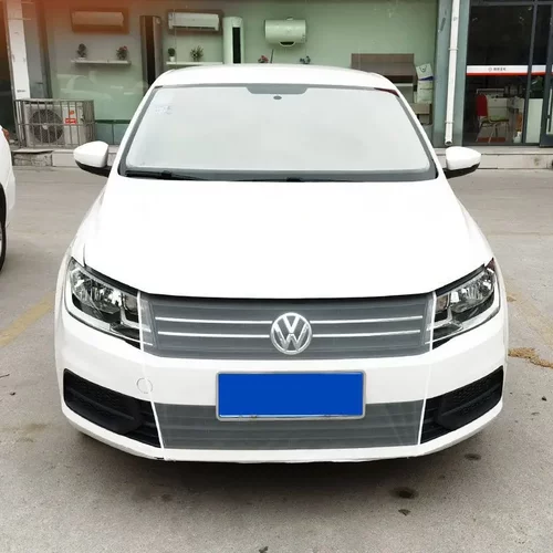 汽车SUV梯形水箱防护网防柳絮网防杨絮网挡杨棉防虫网通用网防蚊 - 图0