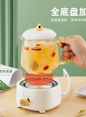 煮茶壶2023新款玻璃炖煮养生壶办公室小型迷mini多功能一人养生杯