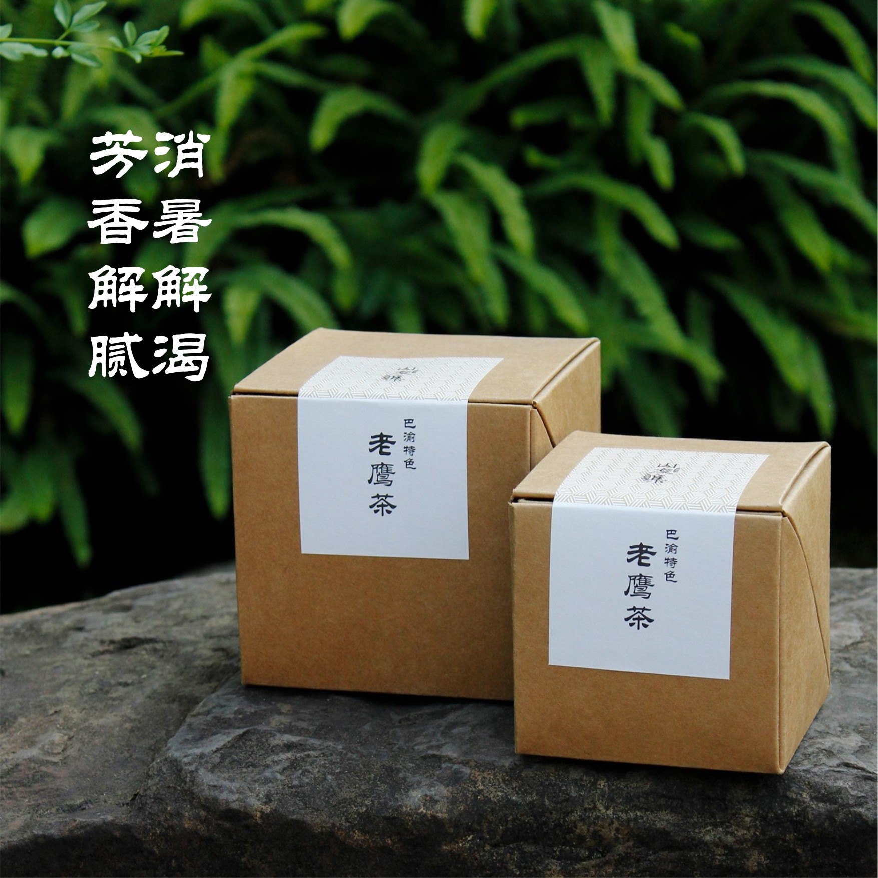 重庆特产老鹰茶精选叶片传统老鹰茶红白茶老荫茶火锅重庆伴手礼,淘宝优惠券,粉丝福利购,淘宝优惠卷