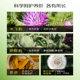FLALIU Heparin Milk Thistle Tablets Double Thistle Milk Thistle Artichoke ນອນເດິກ ບຳລຸງຕັບ ນຳເຂົ້າຕົ້ນສະບັບ