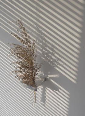 中世纪仓库穆尔创意壁挂式花瓶入口墙装饰干枝插花玻璃试管水培花