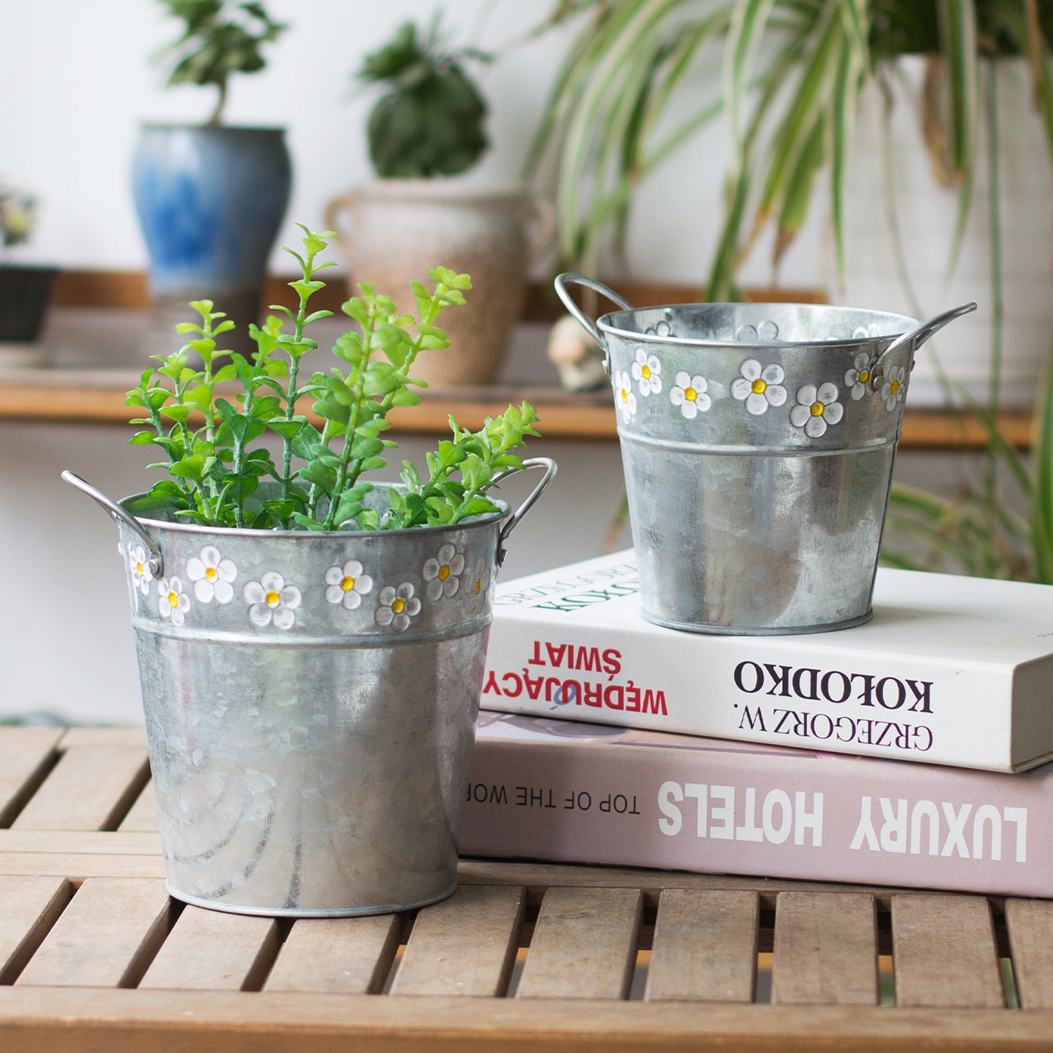 小雏菊花盆套盆铁艺花器不可水培小清新款花园室内装饰桌面小花盆,淘宝优惠券,粉丝福利购,淘宝优惠卷