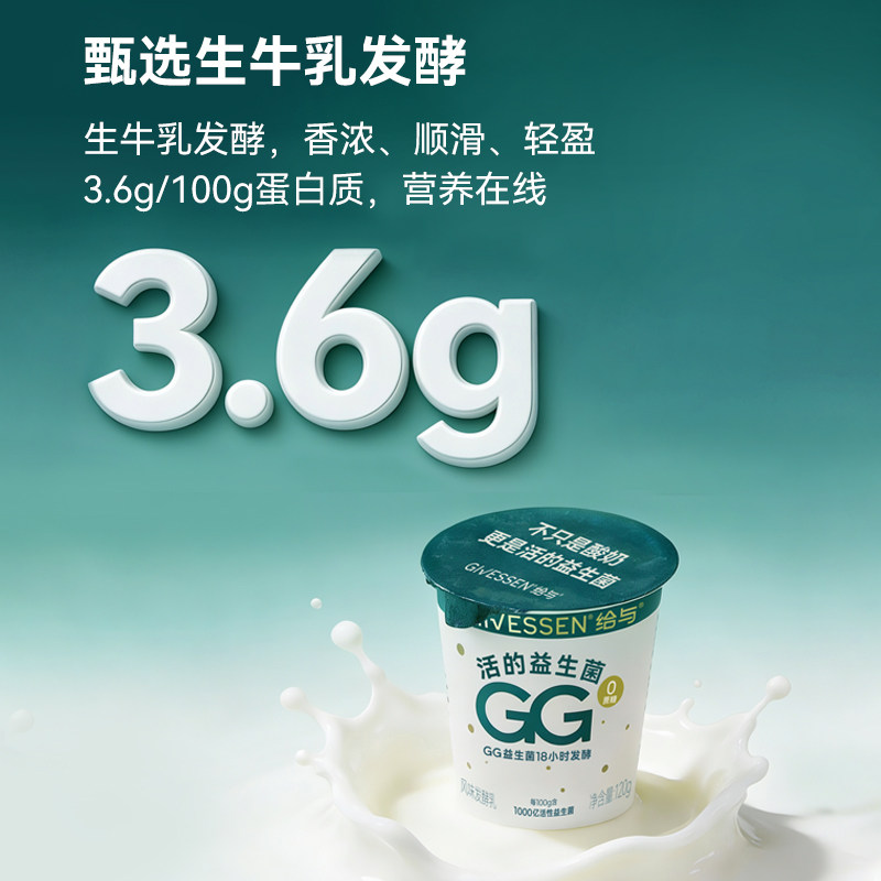 给与1000亿活性GG益生菌酸奶12杯 深度发酵18小时0蔗糖风味发酵乳