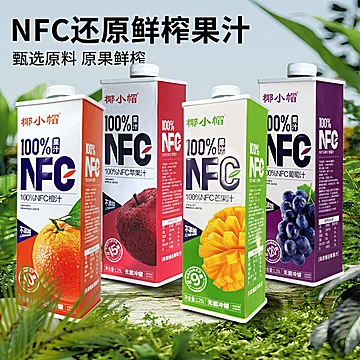 椰小帽百分之百NFC果汁1.25L*2瓶[10元优惠券]-寻折猪