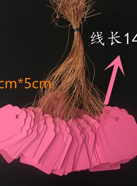 防水吊牌价签pvc塑料标价牌 园艺标签/花卉牌/植物挂绳吊卡签包邮