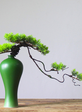 陶瓷梅瓶摆件水培插花新中式禅意家居客厅民宿茶桌玄关酒柜装饰品