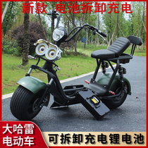 Big Ha Electric Car Taiko Electric Bottle Car Disassembly Charging Lithium Electric Scooter Pedal Motorcycle Biathlon Electric Bike